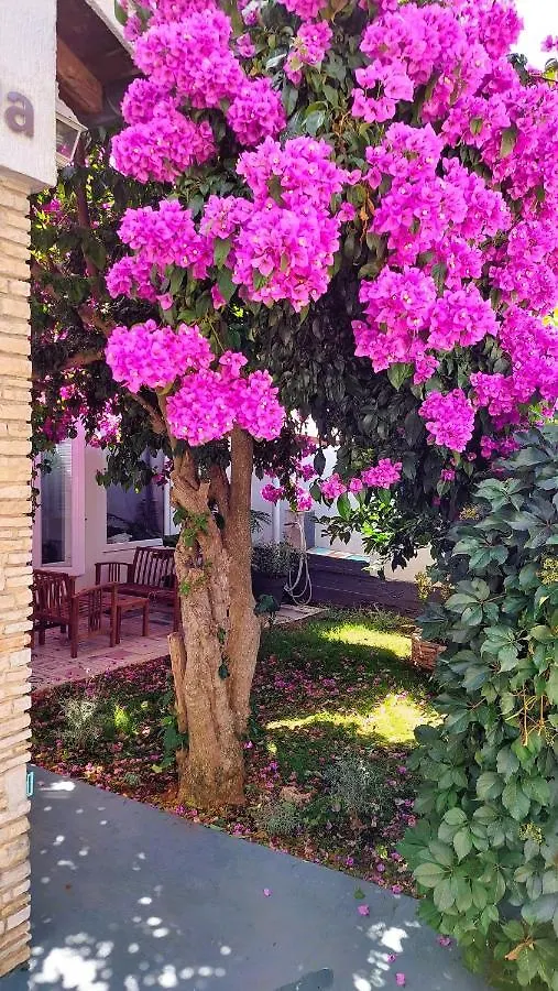 Holiday Home Zora: Family Retreat Near Kamenjak Nature Park Premantura 0*,
